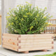 VIDAXL -Planungsbox 60x60x26,5 cm Festkiefer