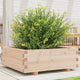 VIDAXL -Planungsbox 70x70x26,5 cm Festkiefer