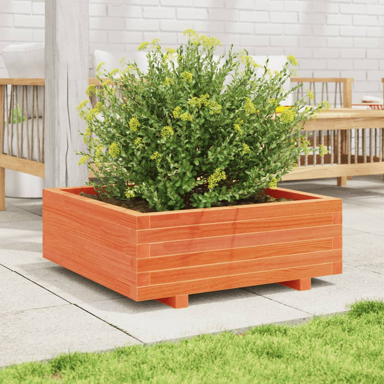 VIDAXL -Planungsbox 70x70x26,5 cm Festkiefer Wäsche braun