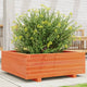 VIDAXL -Planungsbox 70x70x26,5 cm Festkiefer Wäsche braun