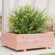 VIDAXL -Planungsbox 70x70x26.5 cm Solid Douglashout