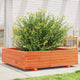 VIDAXL -Planungsbox 90x90x26,5 cm Festkiefer Wäsche Braun
