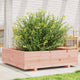 Vidaxl Plannbak 90x90x26,5 cm Solid Douglashout