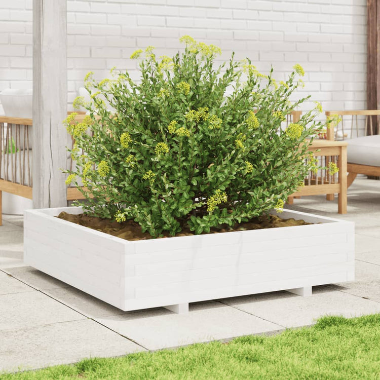 VIDAXL -Pflanzer 100x100x26,5 cm Festkiefer weiß