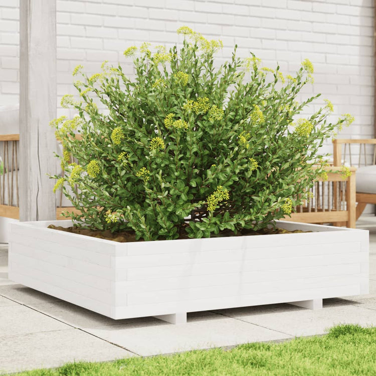 VIDAXL -Pflanzer 100x100x26,5 cm Festkiefer weiß