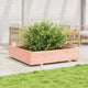 VIDAXL -Planungsbox 110x110x26.5 cm Solid Douglashout