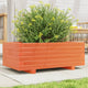VIDAXL -Pflanzer Big 70x40x26,5 cm Festkiefer Wäsche Braun