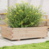 VIDAXL -Planungsbox 90x60x26,5 cm Festkiefer