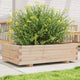 VIDAXL -Planungsbox 90x60x26,5 cm Festkiefer