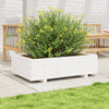 VIDAXL -Planungsbox 90x60x26,5 cm Festkiefer weiß