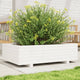 VIDAXL -Planungsbox 90x60x26,5 cm Festkiefer weiß