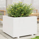 VIDAXL -Planungsbox 70x70x49.5 cm Festkiefer weiß