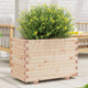 VIDAXL -Planungsbox 70x40x49.5 cm Festkiefer
