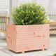 VIDAXL -Planungsbox 70x40x49.5 cm Solid Douglashout
