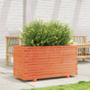 VIDAXL -Planungsbox 90x40x49.5 cm Festkiefer Wäsche braun