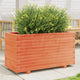 VIDAXL -Planungsbox 90x40x49.5 cm Festkiefer Wäsche braun