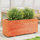VIDAXL -Planungsbox 110x40x49.5 cm Festkiefer Wäsche braun