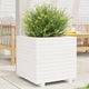 VIDAXL -Planungsbox 50x50x49.5 cm Festkiefer weiß