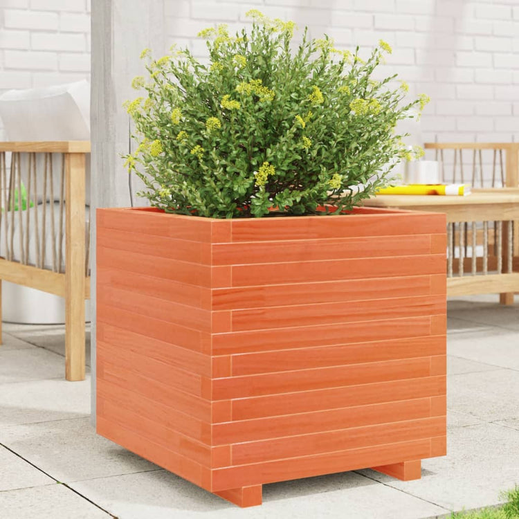 VIDAXL -Planungsbox 50x50x49.5 cm Festkiefer Wäsche Braun