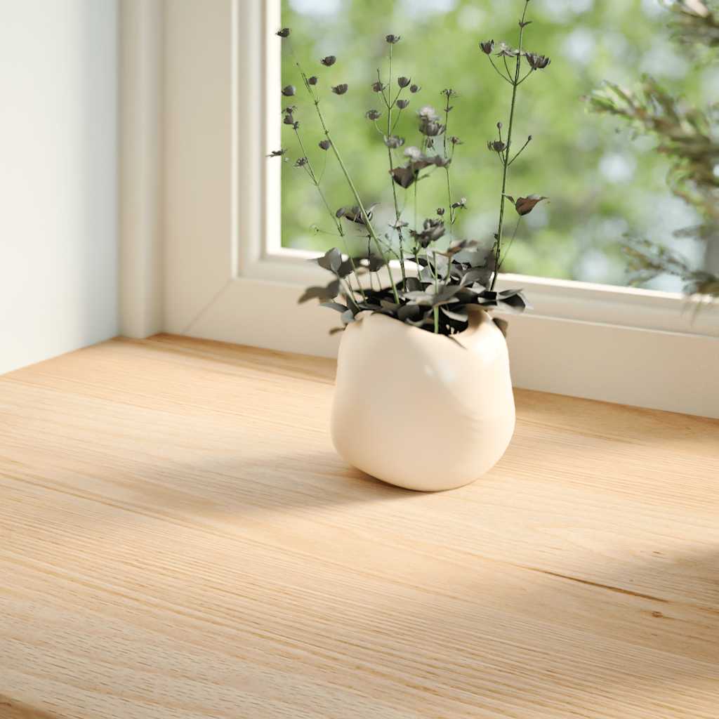 Vidaxx Fensterbänke 2 Stk unbehandelt 100x20x2 cm Eiche massiv