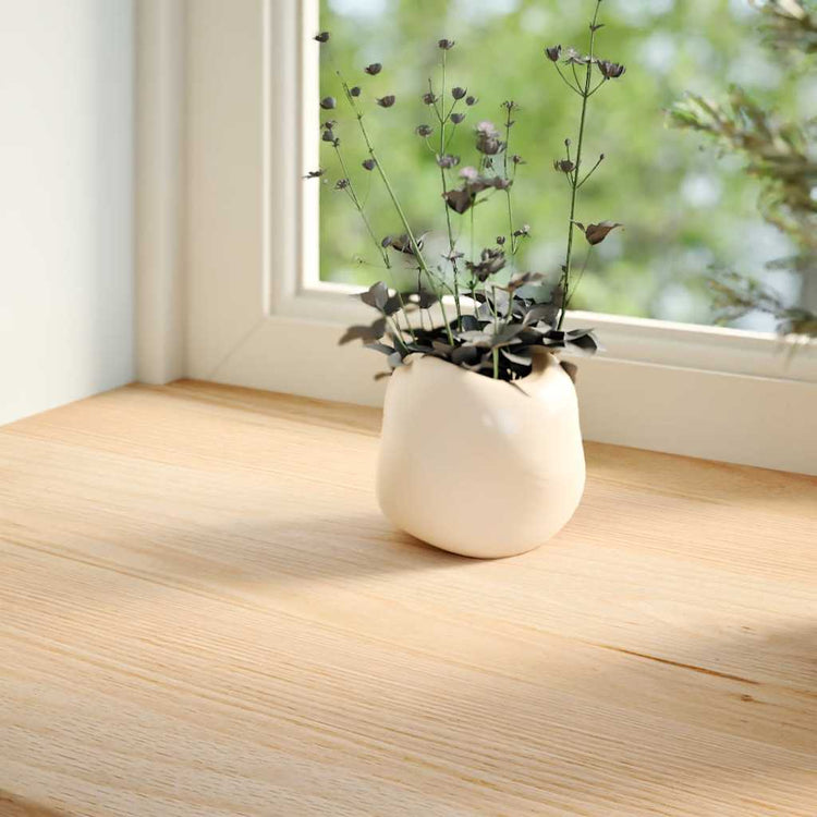 Vidaxx Fensterbänke 2 Stück unbehandelt 110x20x2 cm massive Eiche
