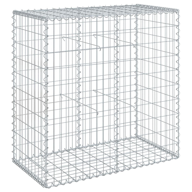 Vidaxl Schanskorf 100x50x100 cm verzinktes Eisensilber gefärbt