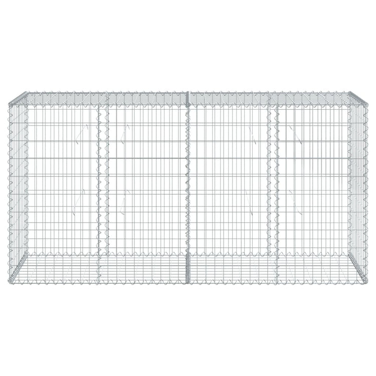 Vidaxl Schanskorf 200x50x100 cm verzinkter Eisensilberfarben