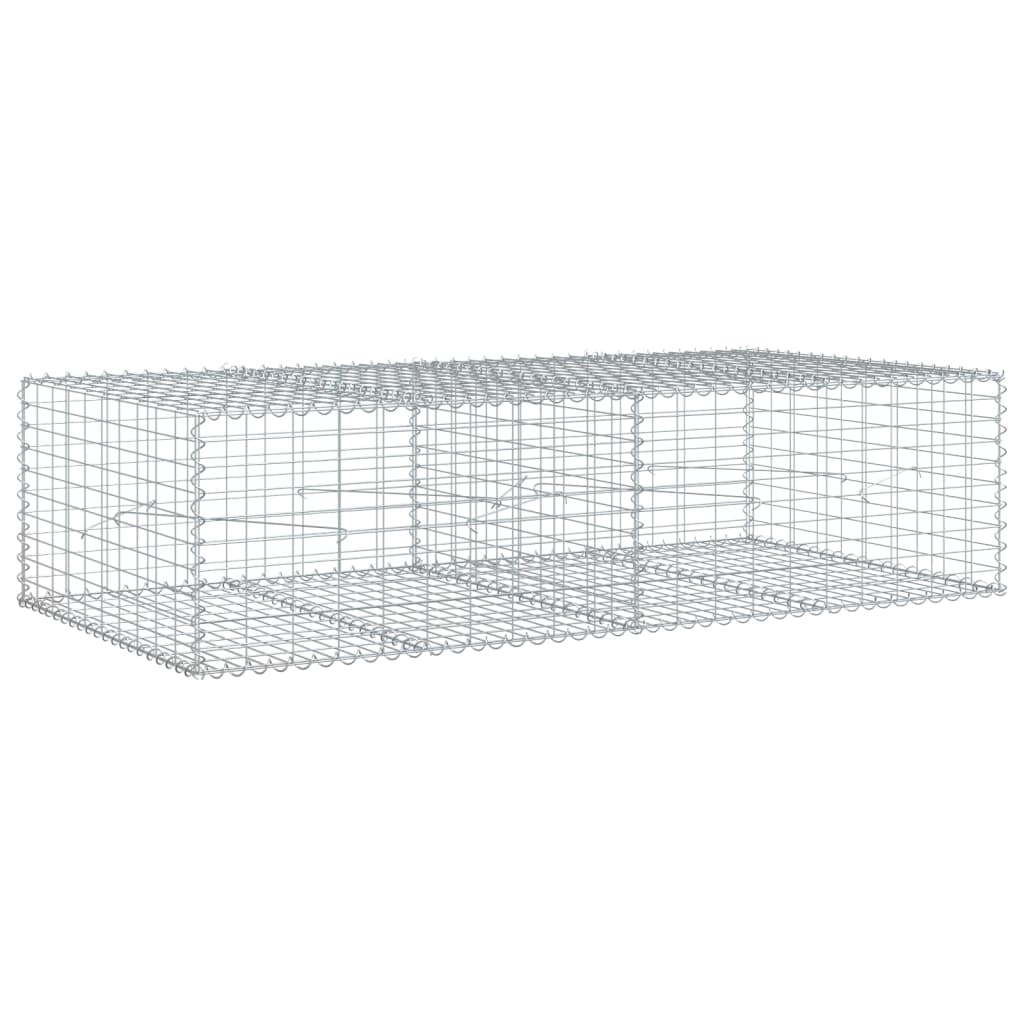 Vidaxl Schanskorf 200x100x50 cm verzinkter Eisensilberfarben