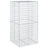 Vidaxl Schanskorf 100x100x200 cm verzinktes Eisensilberfarben