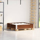 VIDAXL Palletopzetrand 100x100 cm Festkiefernkiefernbraun