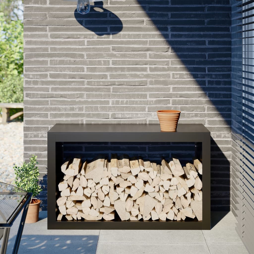 Vidaxl Kamin 100x40x60 cm Stahlschwarz