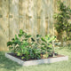 VIDAXL -Planungsbox Erhöht 100x100x18,5 cm Stahlweiß