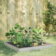 VIDAXL -Pflanzer erhoben 100x100x18,5 cm Edelstahl