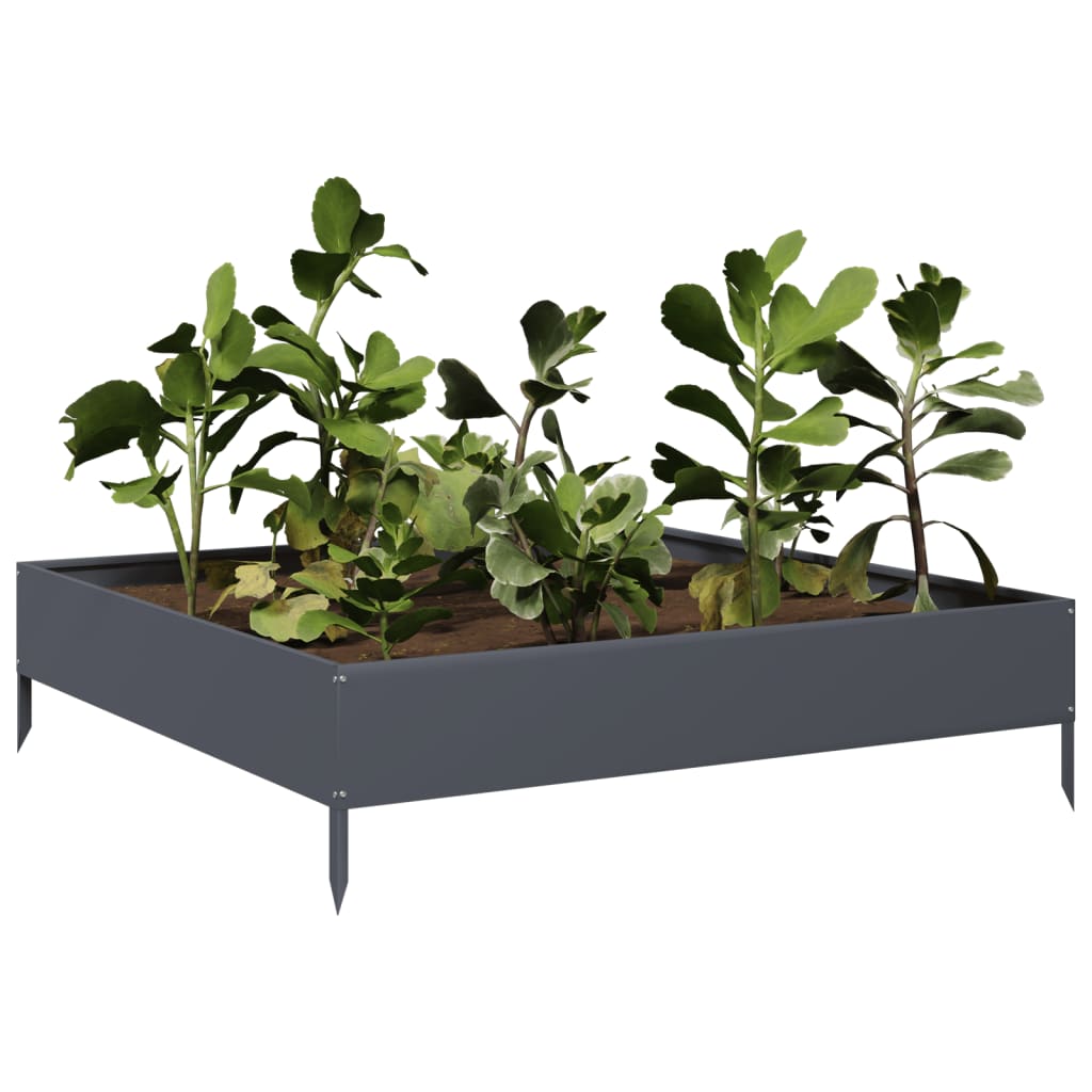 VIDAXL -Pflanzer erhoben 100x100x26 cm Stahl Anthrazit -gelenkt