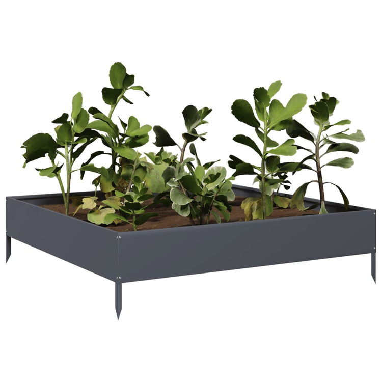VIDAXL -Pflanzer erhoben 100x100x26 cm Stahl Anthrazit -gelenkt