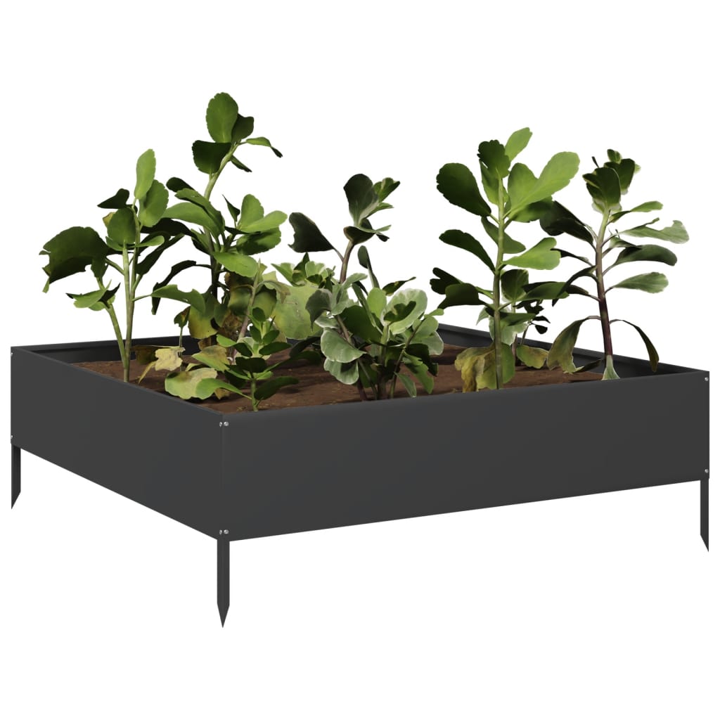 VIDAXL -Pflanzer erhoben 100x100x33,5 cm Stahlschwarz