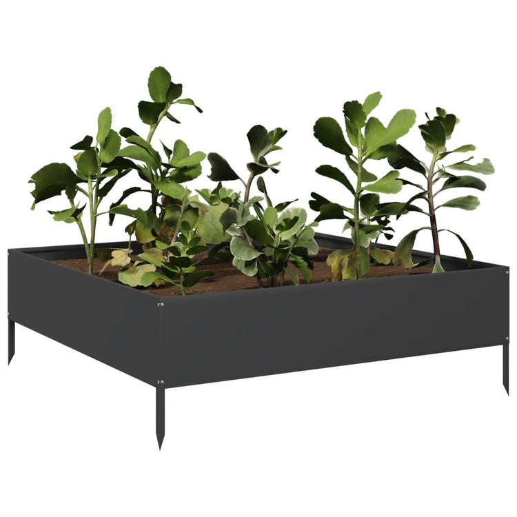 VIDAXL -Pflanzer erhoben 100x100x33,5 cm Stahlschwarz