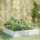 VIDAXL -Pflanzer erhoben 100x100x33,5 cm Stahlweiß