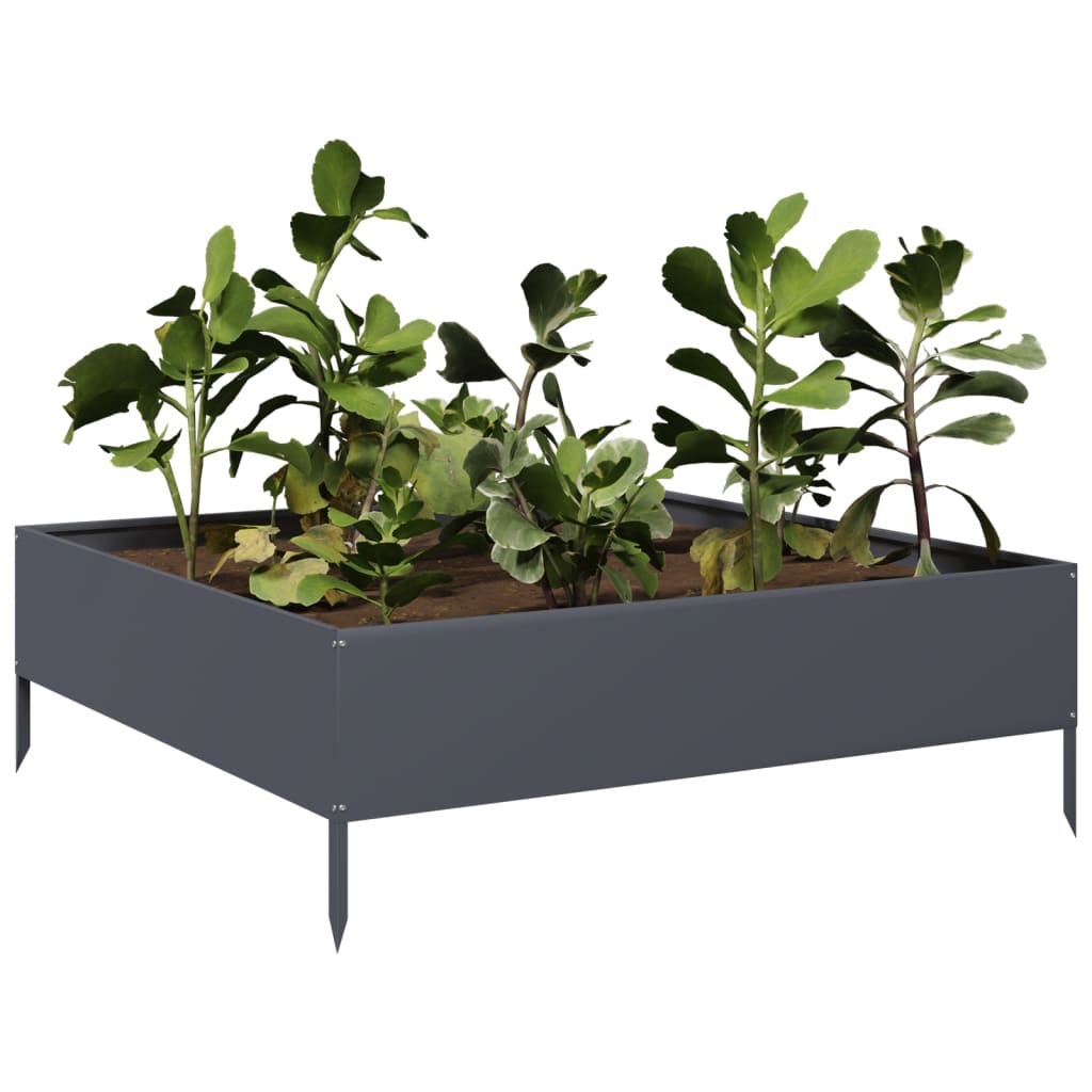 VIDAXL -Pflanzer vermehrte 100x100x33,5 cm Stahl Anthrazit -geläutet