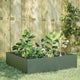 VIDAXL -Pflanzer erhoben 100x100x25 cm Stahl Olivengrün