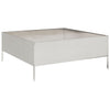 VIDAXL -Pflanzer erhoben 100x100x25 cm Edelstahl