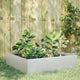 VIDAXL -Pflanzer erhoben 100x100x25 cm Edelstahl
