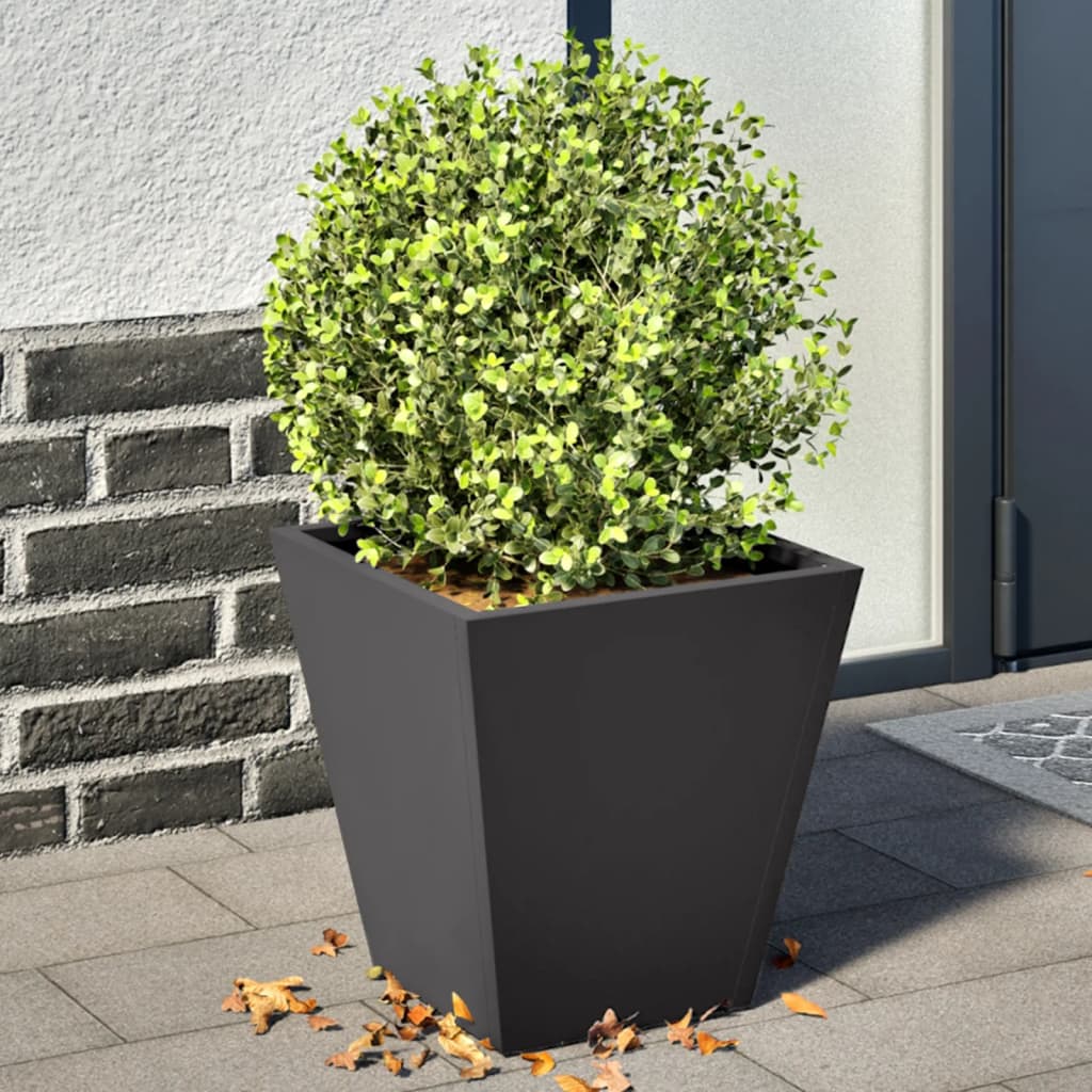 Vidaxl Pflanzer 2 ST 30x30x30 cm Stahlschwarz