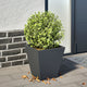 Vidaxx Pflanzgefäß 30x30x30 cm Stahl Anthrazit