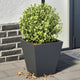 VIDAXL -Pflanzer 2 ST 30x30x30 cm Stahl Anthrazit -geläutet