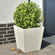 Vidaxl Pflanzer 2 ST 40x40x40 cm Stahlweiß