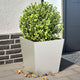 VIDAXL -Pflanzer 2 ST 40x40x40 cm Edelstahl