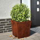 VIDAXL -Planungsbox 40x40x40 cm Wetterstahl