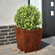 VIDAXL -Pflanzer 2 ST 40x40x40 cm Wetterstahl