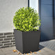 VIDAXL -Planungsbox 50x50x50 cm Stahl schwarz
